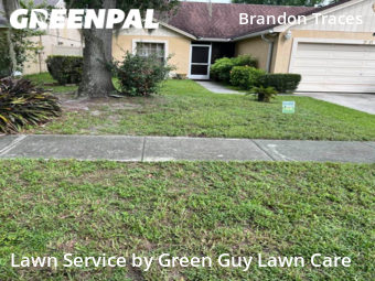 Yard Mowing nearby Brandon, FL, 