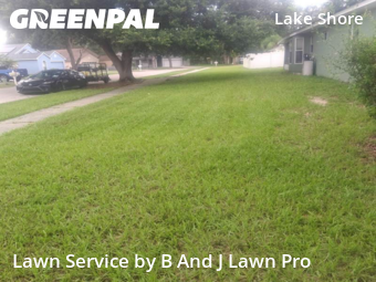 Grass Cutting nearby Seffner, FL, 