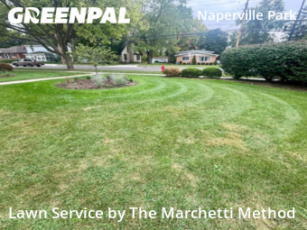 Yard Services in Plainfield, 60544, Grass Services by The Marchetti Method, work completed in Oct , 2025