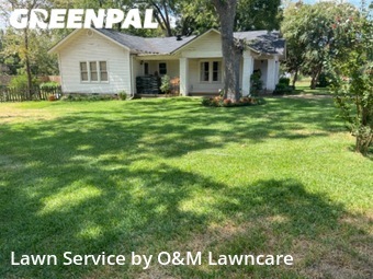 Yard Cutting nearby Frankston, TX, 