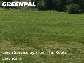 Lawn Mow nearby Wheaton, IL, 