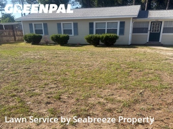 Grass Cutting nearby Niceville, FL, 
