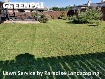 Grass Cutting nearby Mc Kinney, TX, 