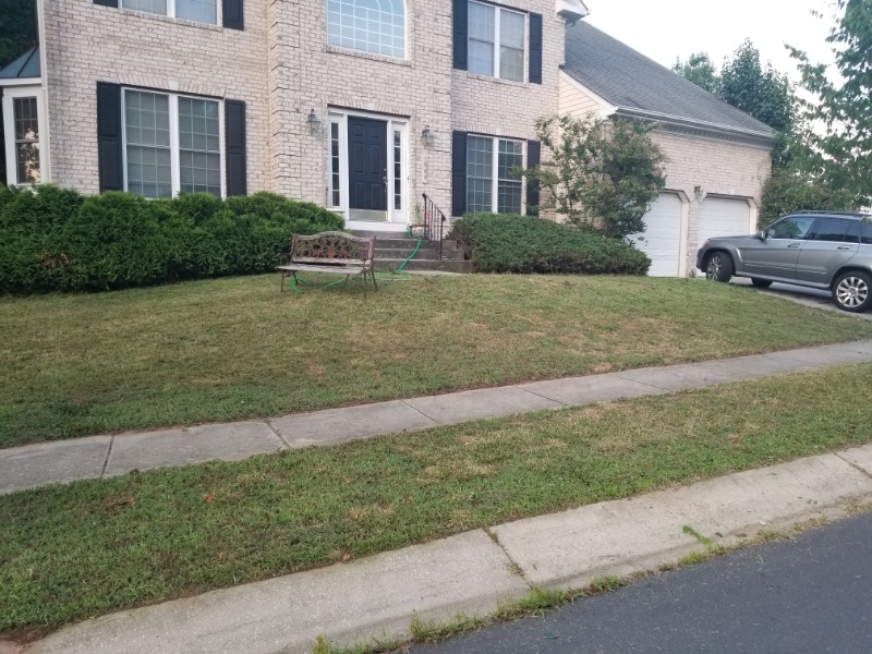 True Lawn Care Lawn Care Services in Essex, MD