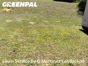 Lawn Care Service nearby Clermont, FL, 