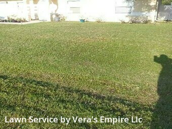 Grass Cutting nearby Palm Coast, FL, 