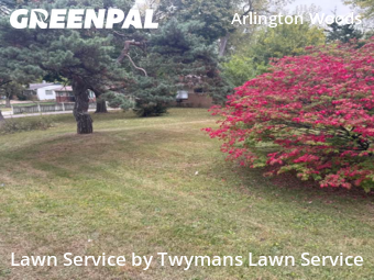 Lawn Cutting nearby Indianapolis, IN, 