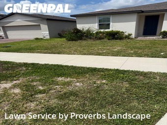 Lawn Mow nearby Saint Cloud, FL, 