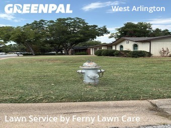 Grass Cut nearby Arlington, TX, 