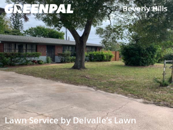 Lawn Care nearby Daytona Beach, FL, 