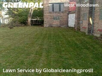 Yard Mowing nearby Chicago, IL, 