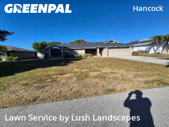 Lawn mowed in Cape Coral, 33990
