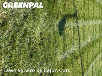 Lawn Cutting nearby Walterhill, TN, 