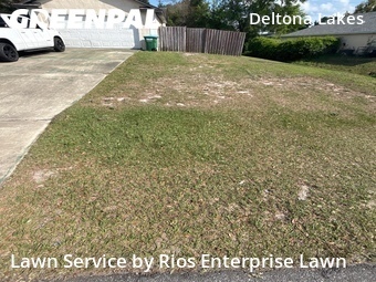 Lawn Cut nearby Deltona, FL, 