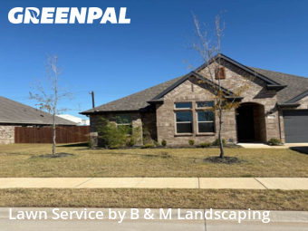 Grass Services in Forney, 75126, Yard Management by B & M Landscaping, work completed in Nov , 2025