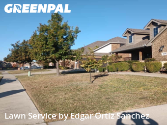 Lawn Maintenancein Wylie,75098,Lawn Maintenance by Edgar Ortiz Sanchez, work completed in Nov , 2025