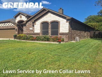 Lawn Carein Mansfield,76063,Lawn Maintenance by Green Collar Lawns, work completed in Nov , 2025
