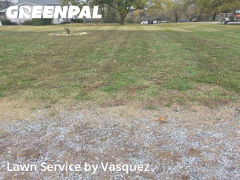 Grass Cut nearby Hendersonville, TN, 