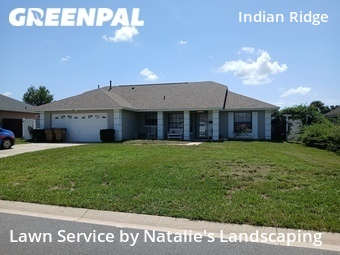 Grass Cut nearby Kissimmee, FL, 