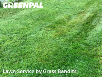 Lawn Care nearby Billings, MT, 