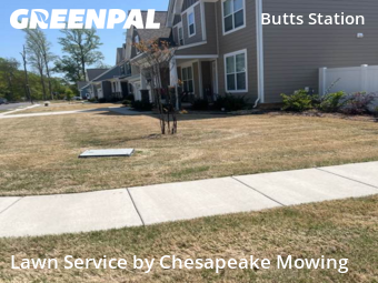 Lawn Maintenance nearby Chesapeake, VA, 