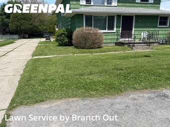 Yard Mowing nearby Buffalo, NY, 