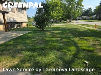 Lawn Upkeep in Addison, 60101, Grass Cutting by Terranova Landscape, work completed in Nov , 2025