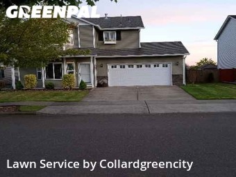 Lawn Mow nearby Lacey, WA, 