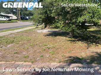 Lawn Cutting nearby Tampa, FL, 