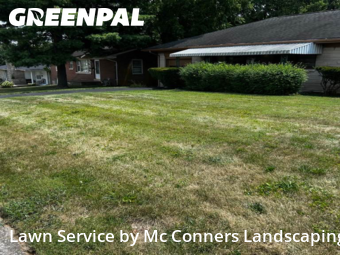 Grass Cut nearby Lexington, KY, 