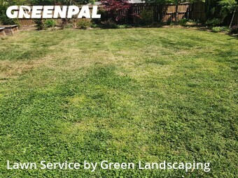 Yard Cutting nearby Durham, NC, 