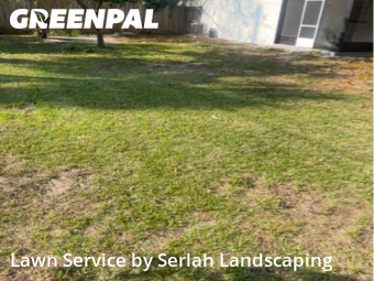 Lawn Cut nearby Orlando, FL, 