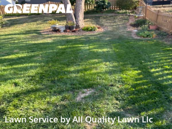 Grass Cut nearby Saint Charles, MO, 