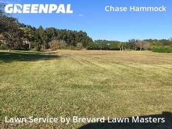 Lawn Cut nearby Merritt Island, FL, 