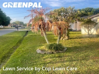 Lawn mowed in Poinciana, 34759