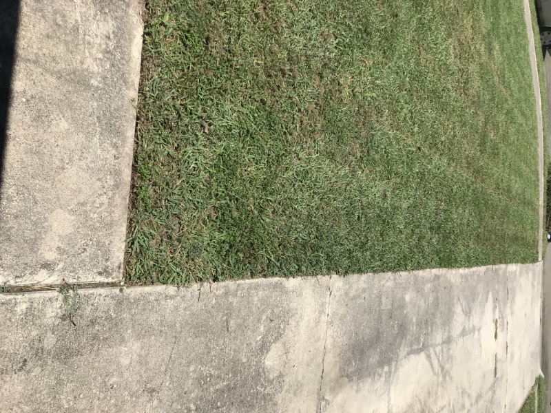 Gregg Landscaping Lawn Care Services in Killeen, TX