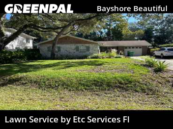 Grass Cutin Tampa,33611,Lawn Maintenance by Etc Services Fl, work completed in Nov , 2025