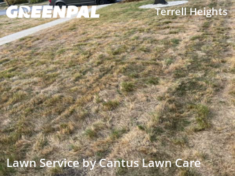 Lawn Maintenancein San Antonio,78209,Lawn Care Service by Cantus Lawn Care, work completed in Oct , 2025