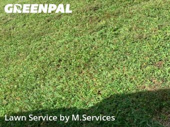 Lawn Cutting nearby Greensboro, NC, 