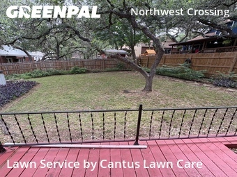 Yard Cutting nearby San Antonio, TX, 