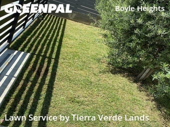 Work completed by yard-maintenance-professionals-in in Los Angeles, CA