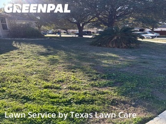 Grass Cuttingin New Braunfels,78130,Lawn Cut by Texas Lawn Care Serv, work completed in Feb , 2026