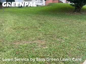 Lawn Mowing Service nearby Mt. Juliet, TN, 