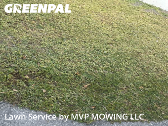Lawn Care Service nearby Plantation, FL, 