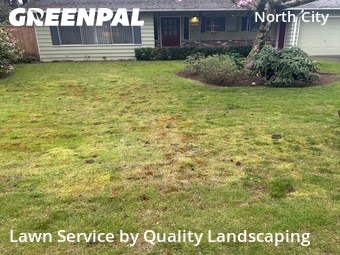 Lawn mowed in Shoreline, 98155