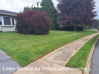 Lawn Upkeep in Whitehall, 18052, Grass Services by Vision Landscaping L, work completed in Nov , 2025