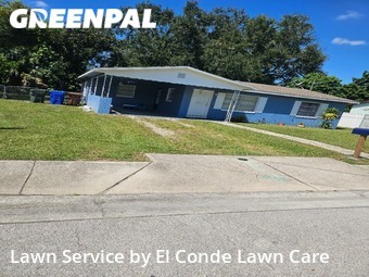 Lawn Cut nearby Kissimmee, FL, 