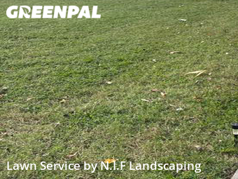 Yard Cutting nearby Charlotte, NC, 