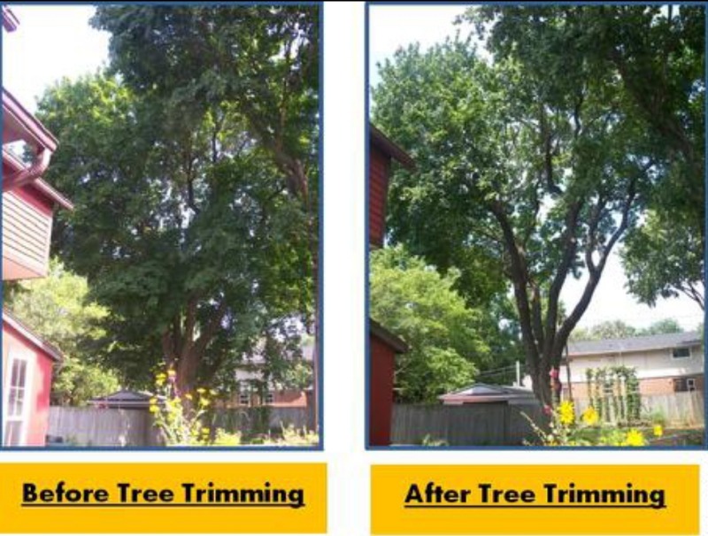 local-lawn-maintenance-contractors-in-Lawrence-KS