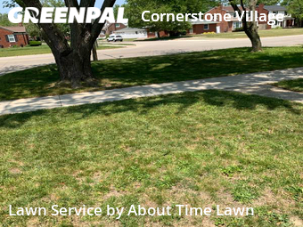 Yard Cutting nearby Detroit, MI, 